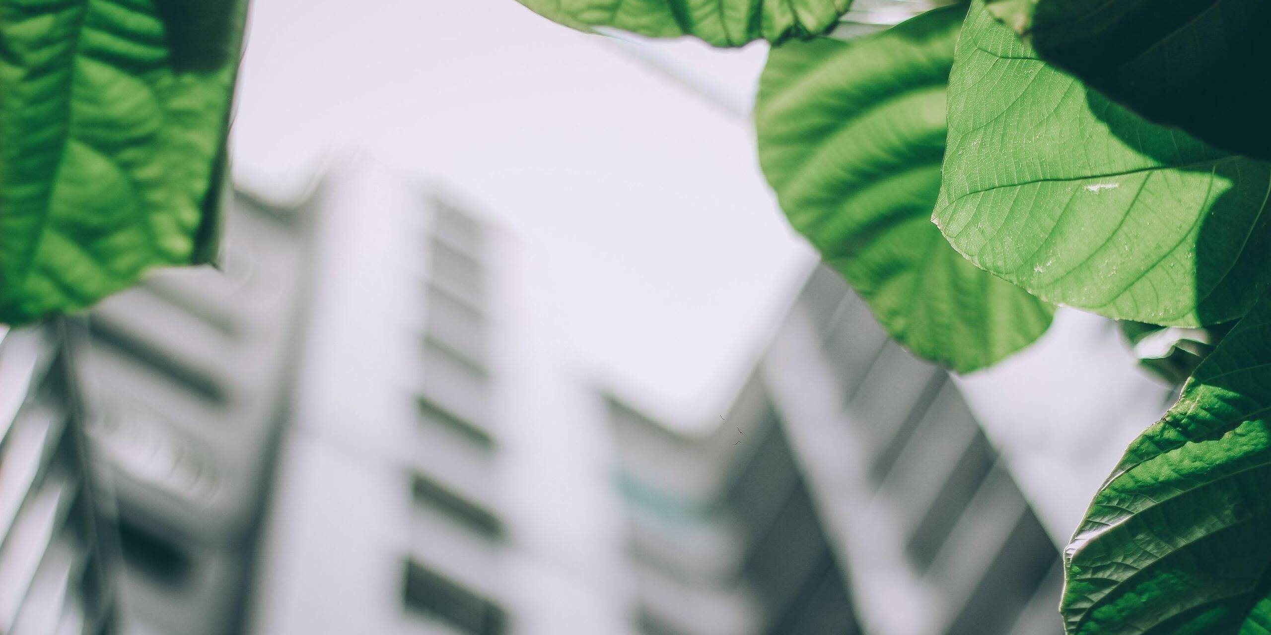 Where Sustainability, Productivity, and Well-Being Meet